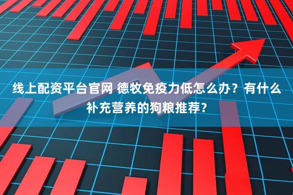 线上配资平台官网 德牧免疫力低怎么办？有什么补充营养的狗粮推荐？
